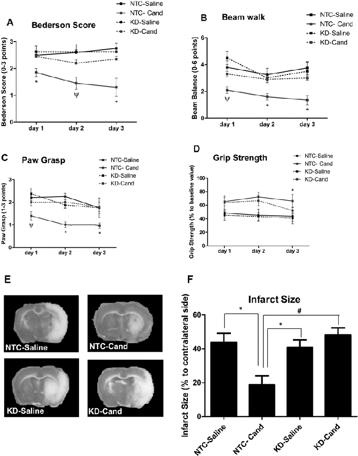 Figure 4: