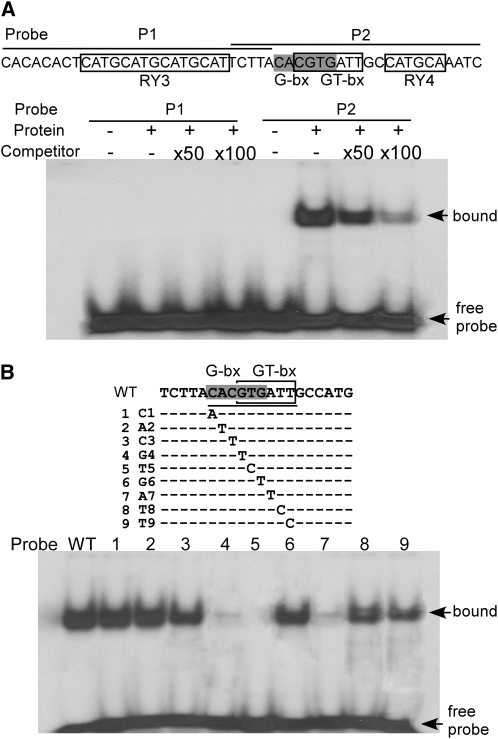 Figure 7.