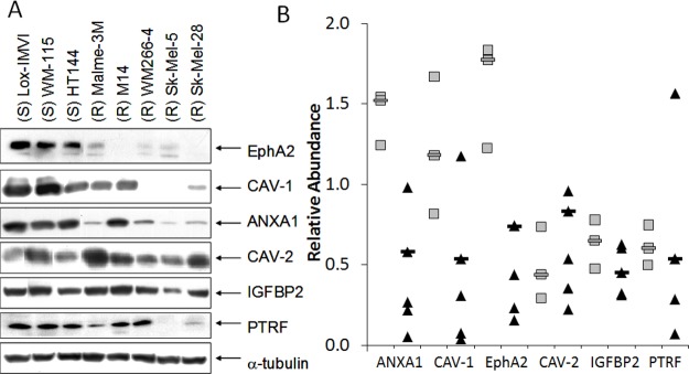 Figure 3A