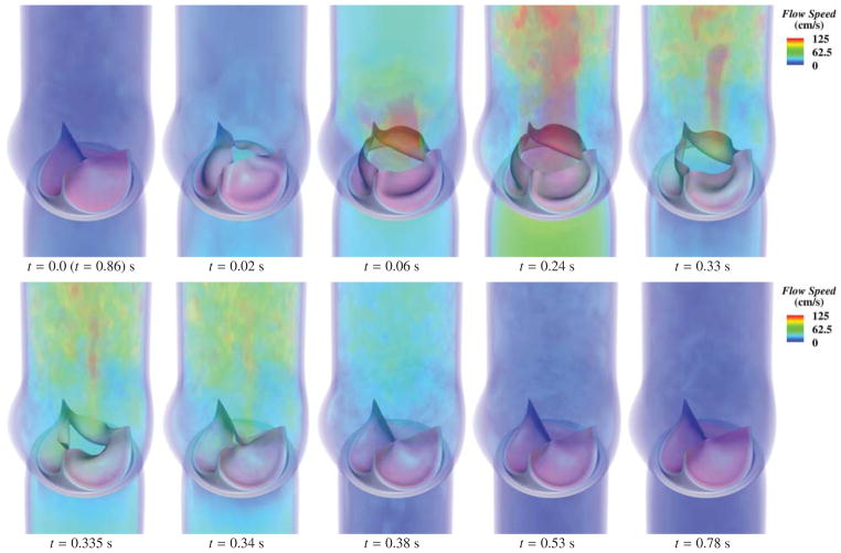 Fig. 13