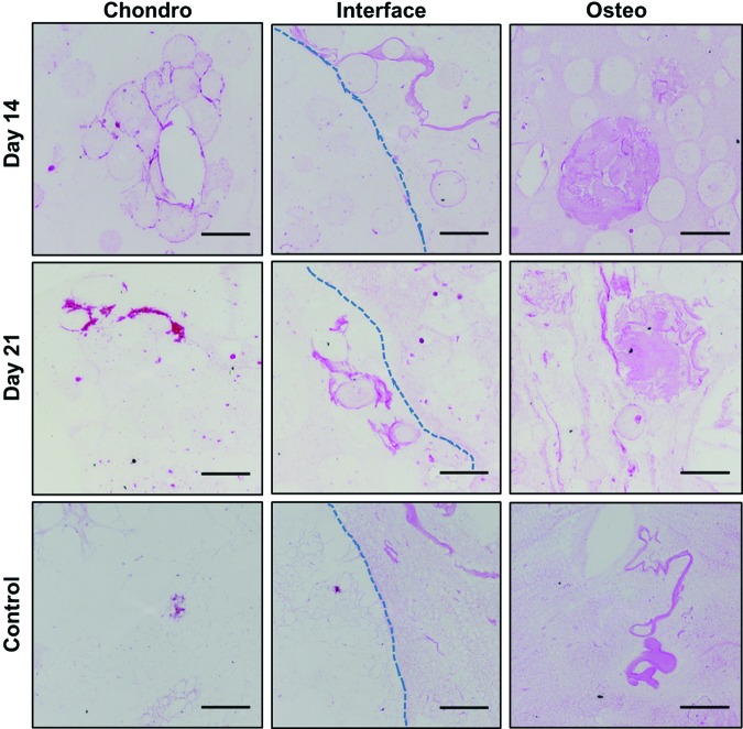 FIG. 6.