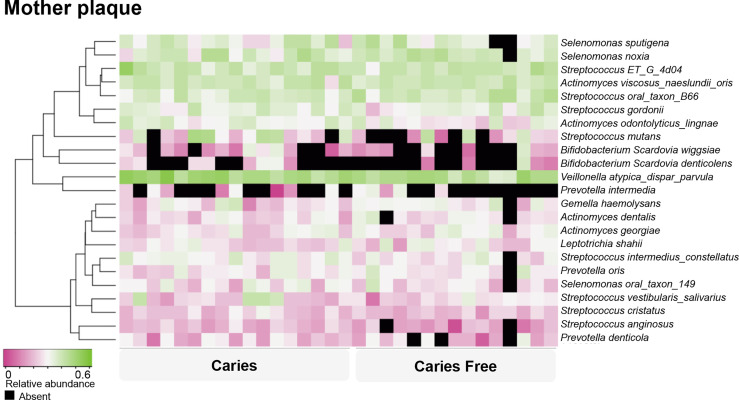 Figure 4