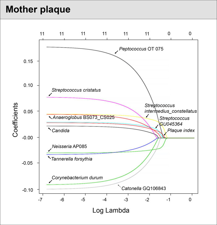 Figure 5