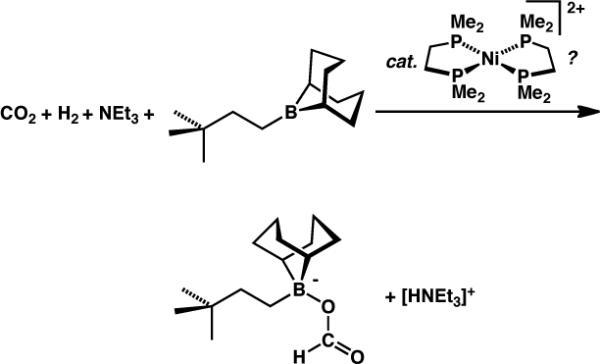 Scheme 7