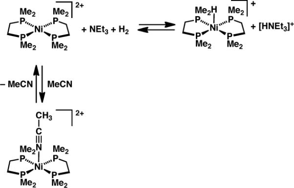 Scheme 8