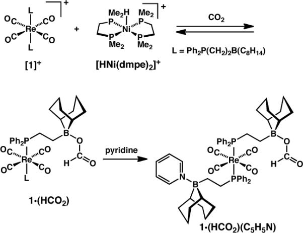 Scheme 5