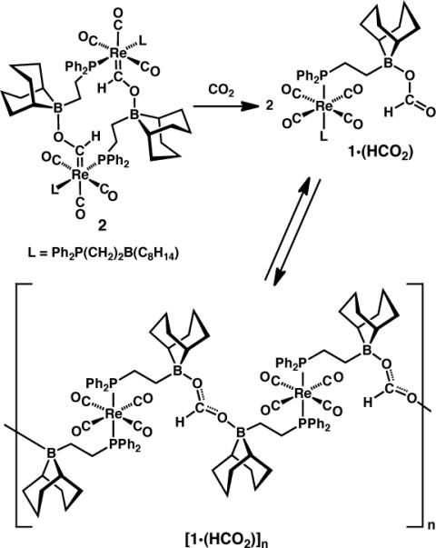 Scheme 4