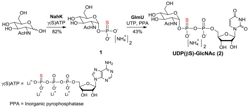 Scheme 1