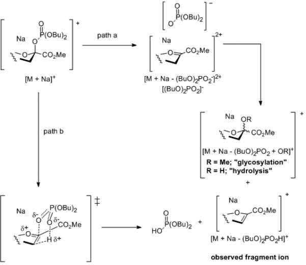 Scheme 5