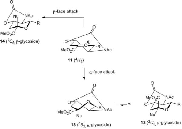 Scheme 4