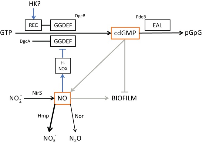 FIG 4 