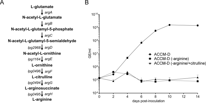 FIG 4