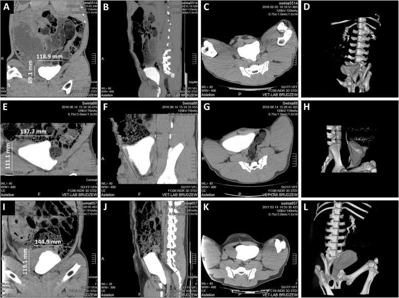 Fig. 3