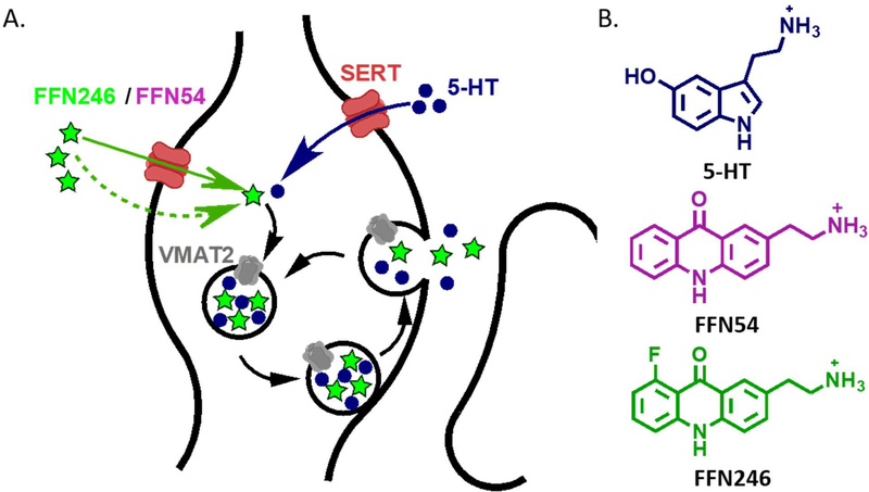 Figure 1.