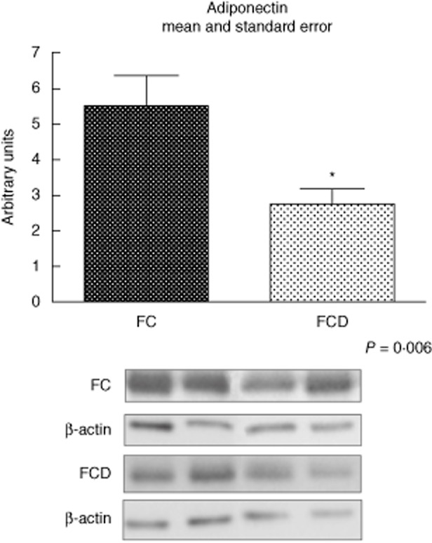 Fig. 5