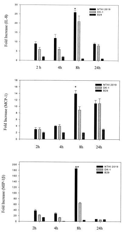 FIG. 6