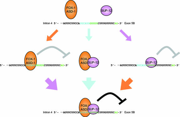 FIG. 7.