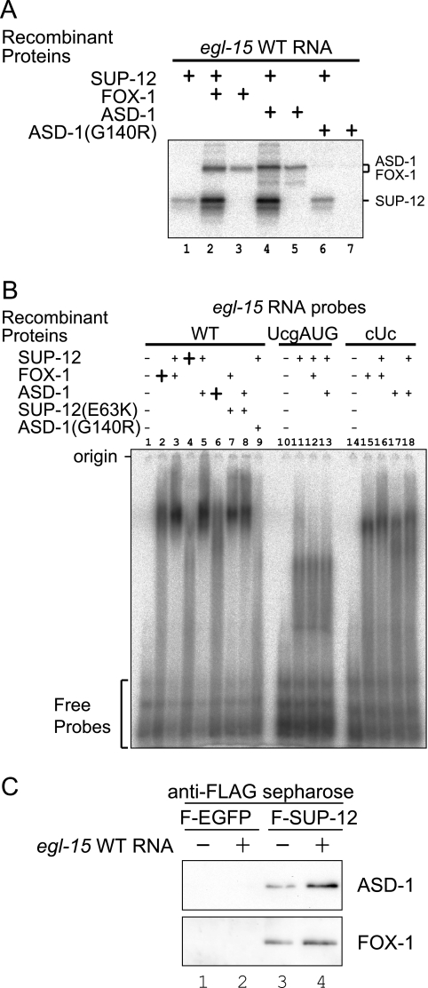 FIG. 5.