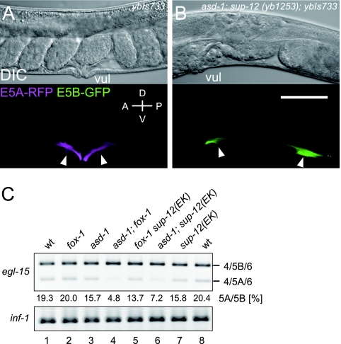 FIG. 6.