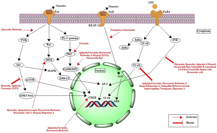 FIGURE 3