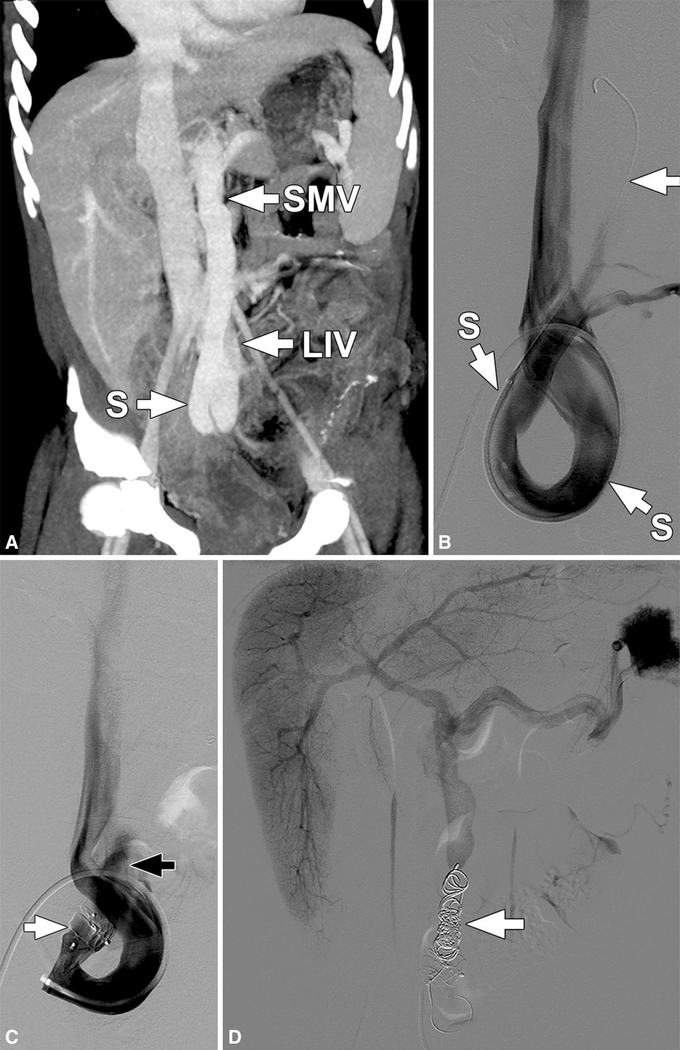 Fig. 5