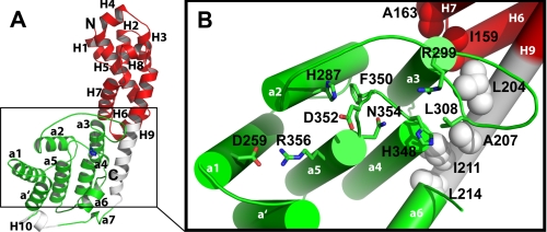 FIGURE 1.