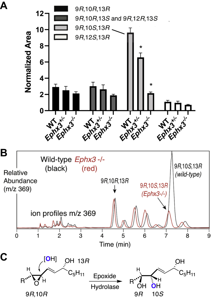 Figure 5