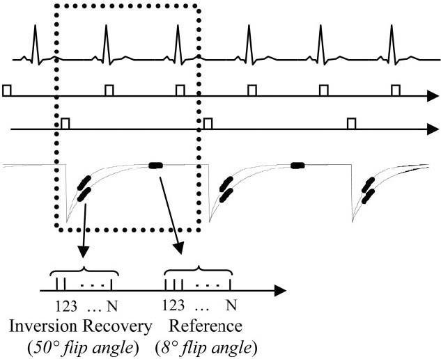 FIG. 1