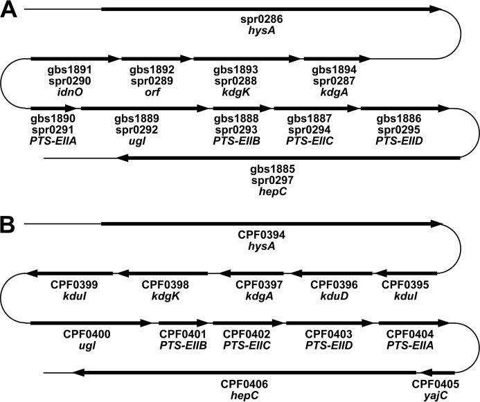 FIGURE 2.