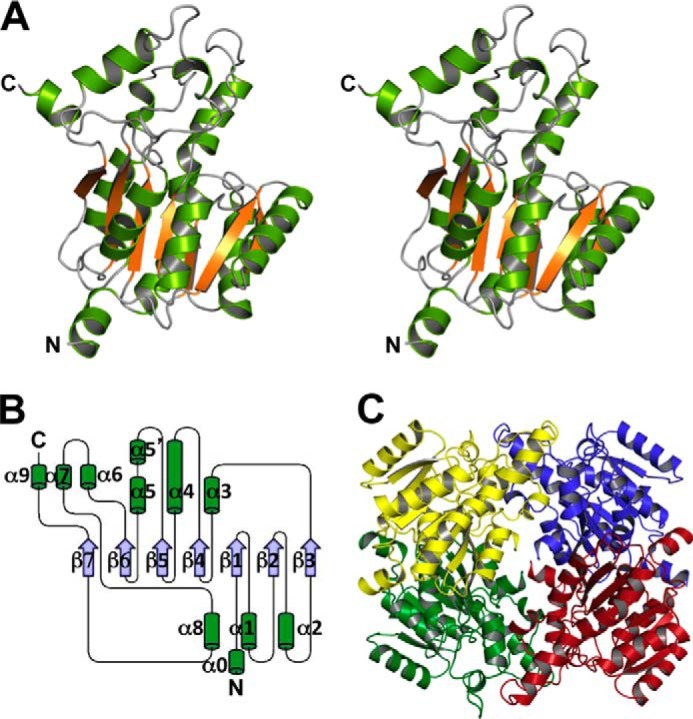 FIGURE 7.