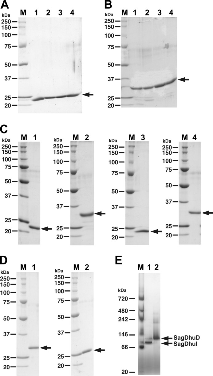 FIGURE 3.