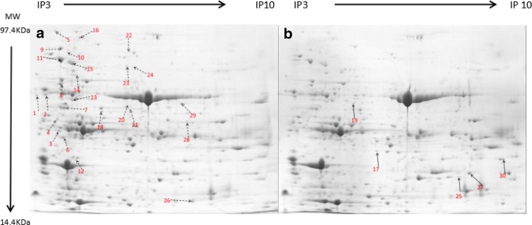 Fig. 1