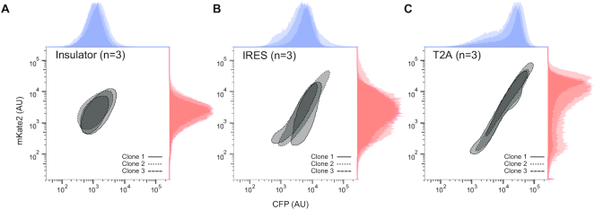 Figure 3.