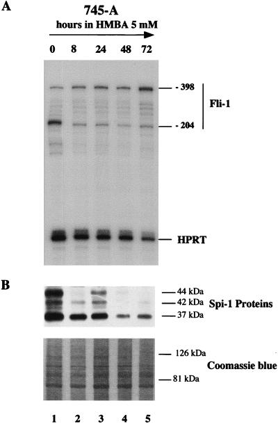 FIG. 6