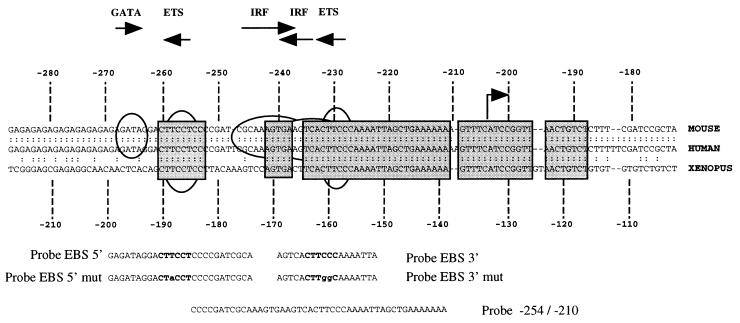 FIG. 8