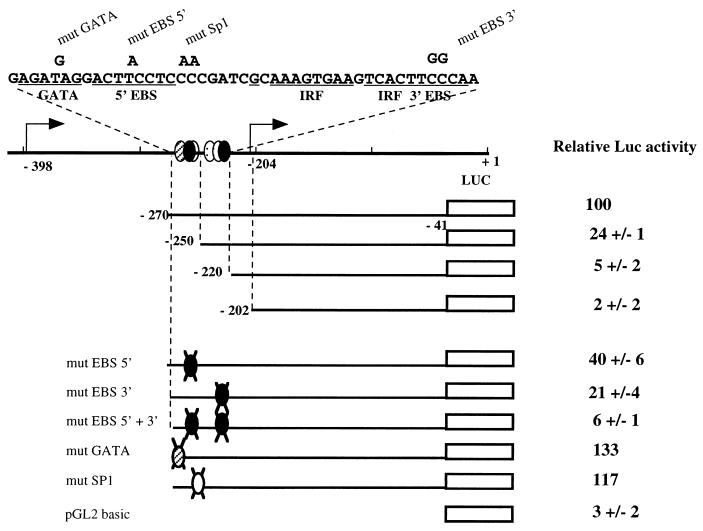 FIG. 10