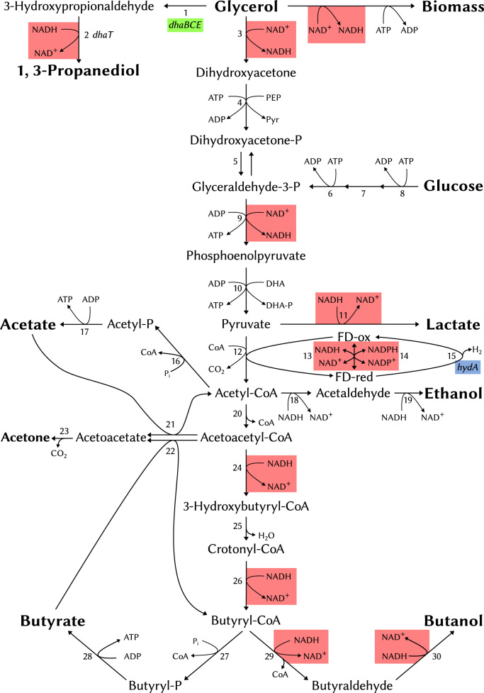 Fig. 1