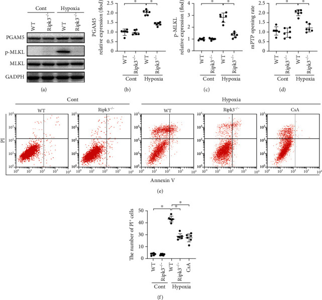 RIPK3 Induces Cardiomyocyte Necroptosis via Inhibition of AMPK-Parkin ...