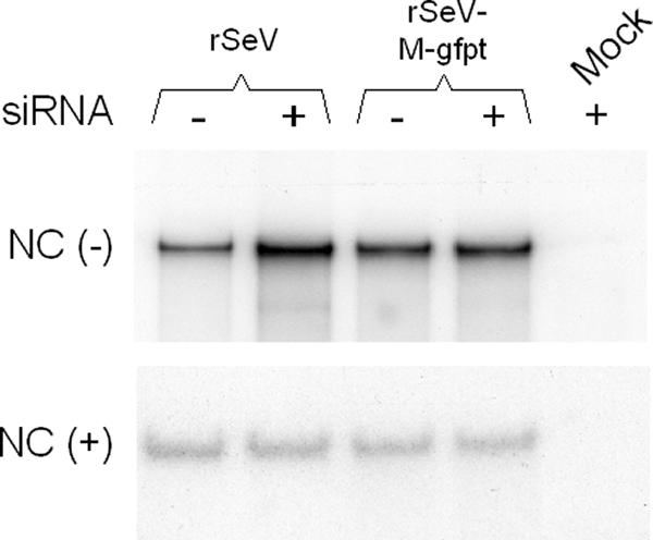 FIG. 5.