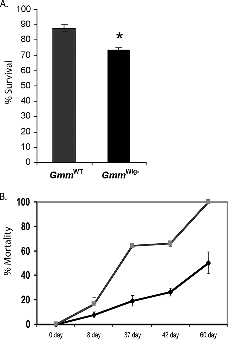 FIG. 5.