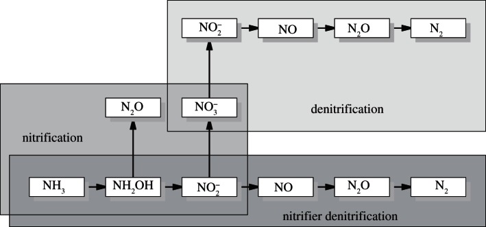 Figure 1.