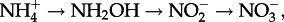 (a).