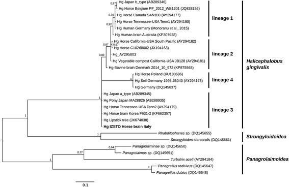 Fig. 4