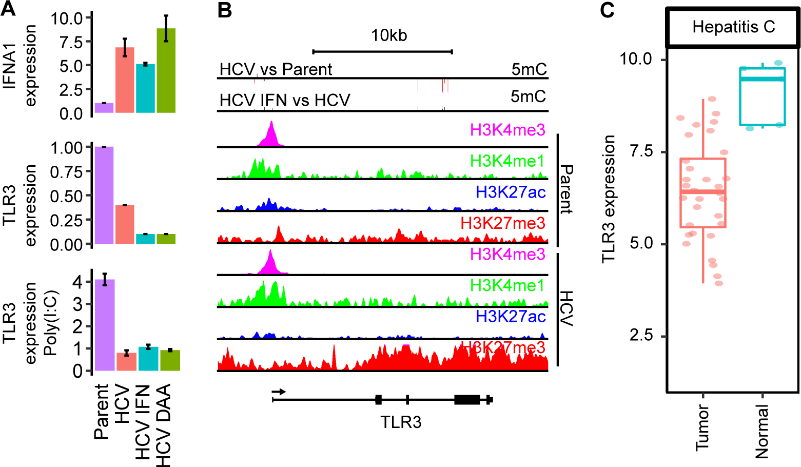 Fig. 7: