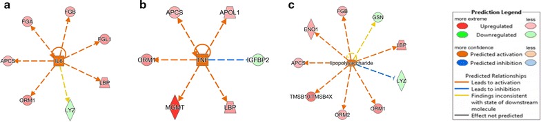 Fig. 3