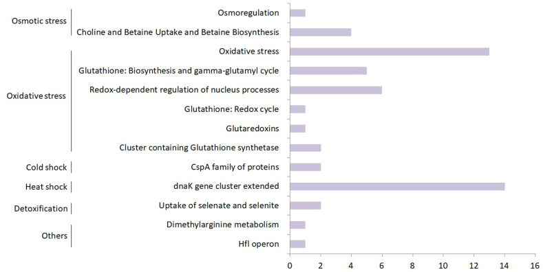 Figure 6