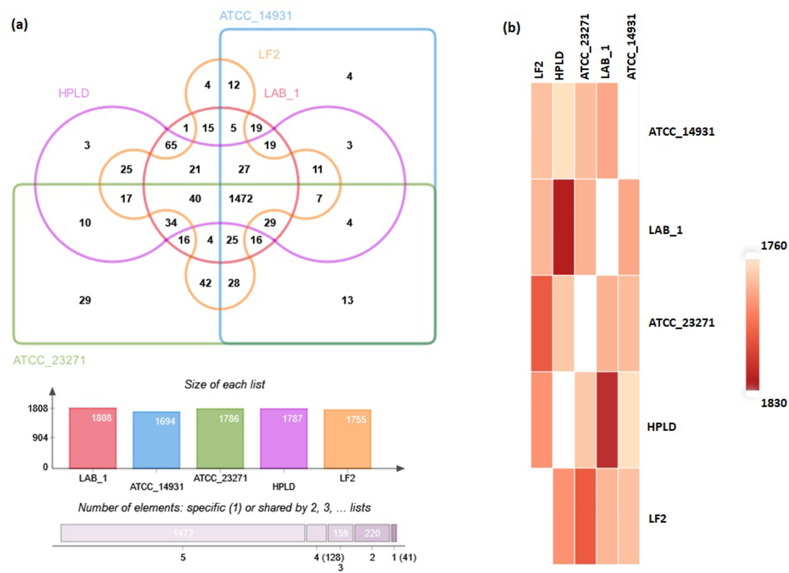 Figure 3