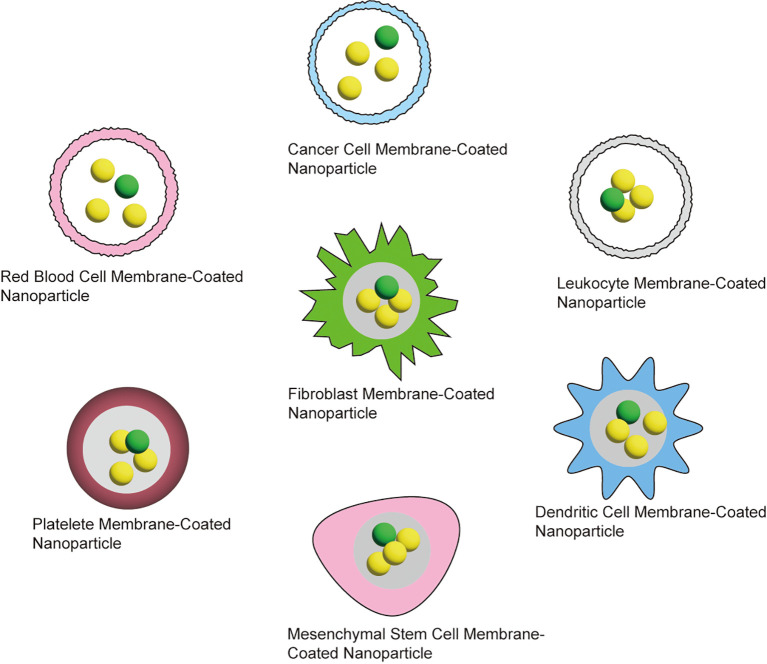 Figure 7