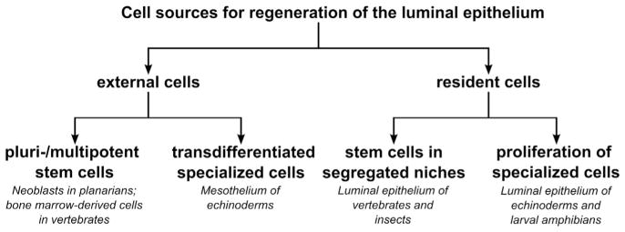 Figure 7.5