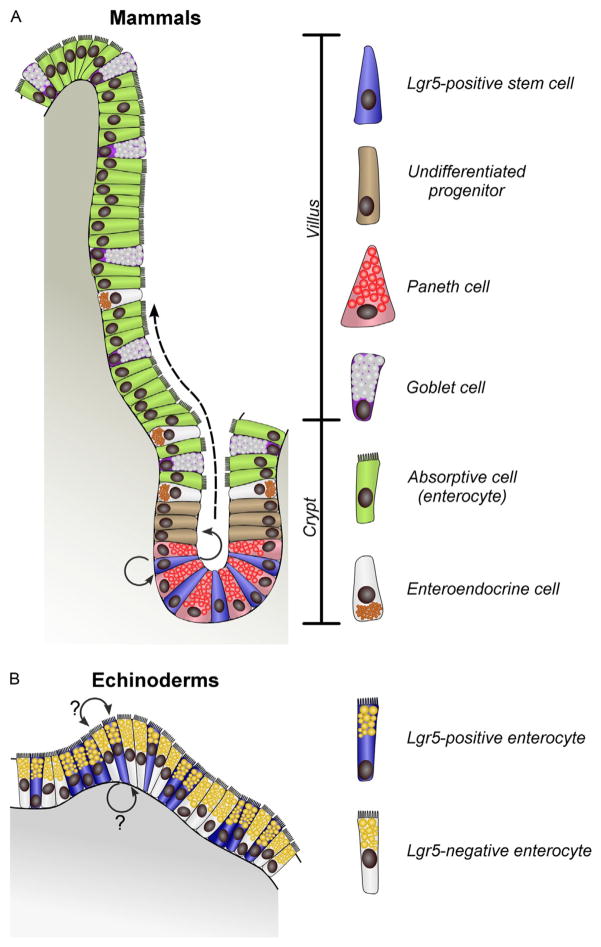 Figure 7.1